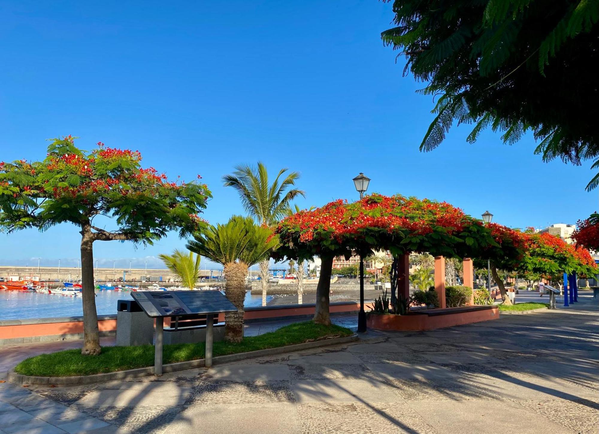 Casa Antonio - Apartamento Sol Playa de San Juan  Extérieur photo